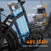URLIFE E20 Fat Tire Electric Bike