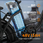 URLIFE E20 Fat Tire Electric Bike