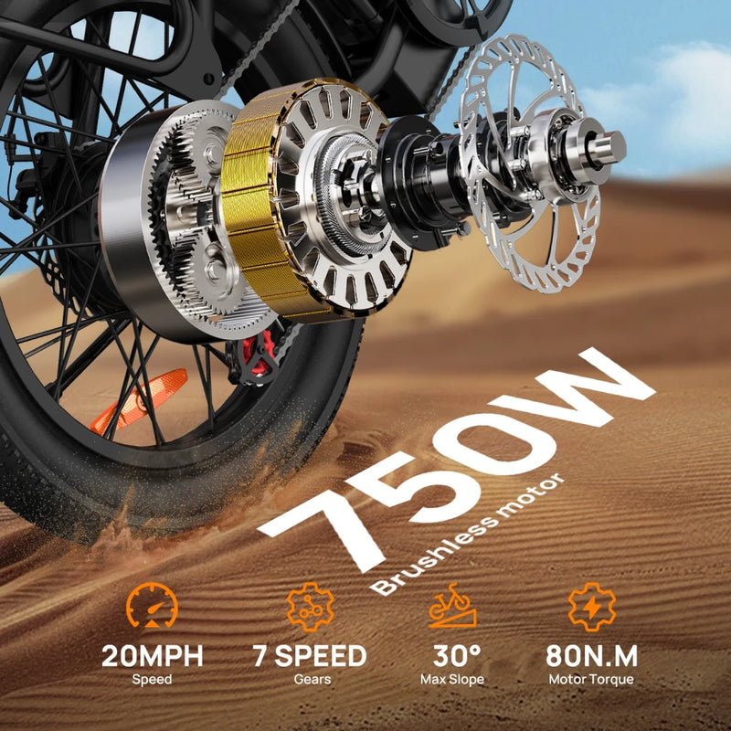 URLIFE E20 Fat Tire Electric Bike