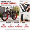 Fat Tire Electric Bike