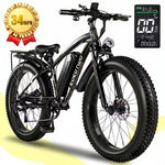 Fat Tire Electric Bike