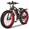 Fat Tire Electric Bike