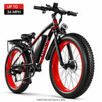 Fat Tire Electric Bike