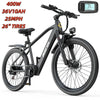 Fat Tire Electric Bike