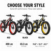 Fat Tire Electric Bike