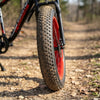 Fat Tire Electric Bike
