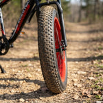 Fat Tire Electric Bike