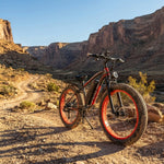Fat Tire Electric Bike