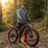 Fat Tire Electric Bike